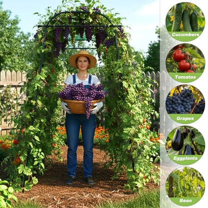7Ft Garden Arch Trellis for Climbing Plants Outdoor, Heavy Duty Coated Metal Cucumber Trellis for Raised Beds, Tall Steel Gardening Arbor for Vegetables, Tomatoes, Grape, Bean (83’’ x 49’’ x 32’’)