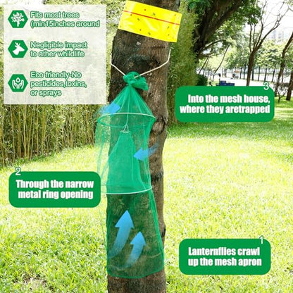 Qualirey 2 Pack Spotted Lanternfly Traps and 2 Rolls Spotted Lantern Fly Tree Tape Mesh Lantern Fly Killer with Jute Rope and Nails Effective Way to Catch Lanternflies and Nymphs Protecting Trees