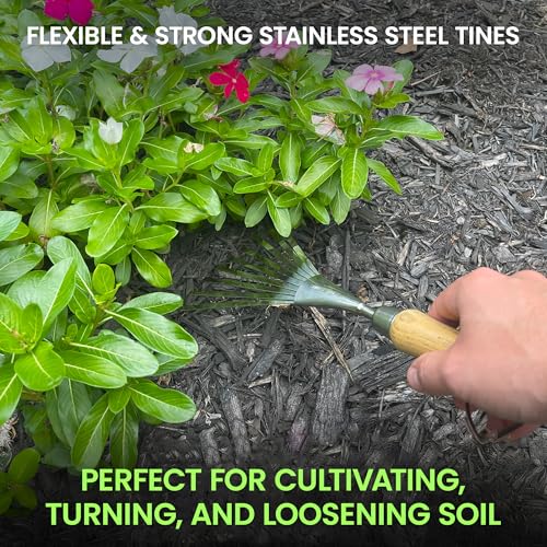 Garden Guru Eco Hand Rake Soil Tiller- 100% Recycled Stainless Steel - Rust Resistant - FSC Certified Wood Ergonomic Handle - Great for Gardening, Cultivating, Loosening Soil & Spreading Mulch - size: 1Pack