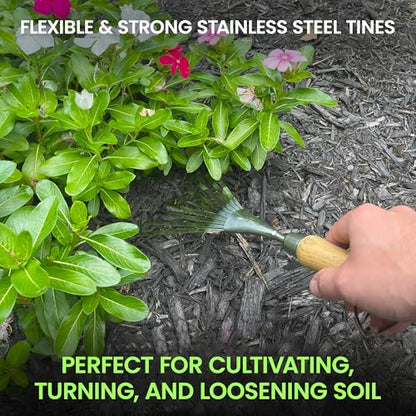 Garden Guru Eco Hand Rake Soil Tiller- 100% Recycled Stainless Steel - Rust Resistant - FSC Certified Wood Ergonomic Handle - Great for Gardening Cultivating Loosening Soil & Spreading Mulch (2 Pack) - size: 2 Pack