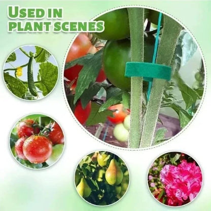 2 Rolls Reusable Nylon Plant Ties Loop Hook Garden Support Tape, (Green) - color: Green