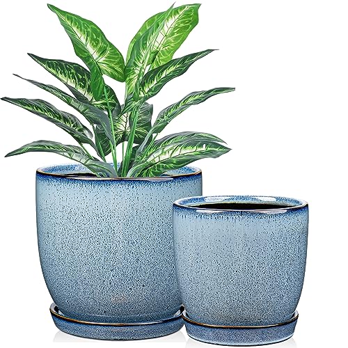 GnFlus Ceramic Plant Pots 6 Inch + 5 Inch Set of 2, Flower Plants Pot with Drainage Holes and Saucers Tray Blue Planter Garden Pot for Succulent Cactus Home Decoration Gift Indoor Outdoor - color: Blue#1