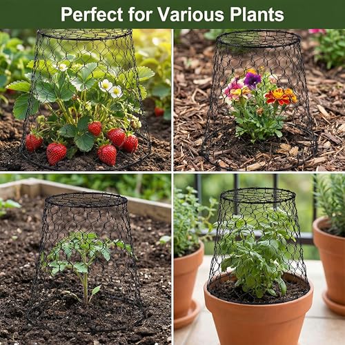 DHAMPOOH Garden Cloches for Plants, Outdoor Plant Protectors, 4 Pack - size: Pack of 4