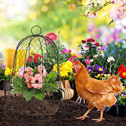 Coloch 5 Pack Garden Chicken Wire Cloche, 16x 13 Inches Black Dome Plant Protector Cover Strong Metal Garden Cloches Protecting Plants and Seedling from Animals
