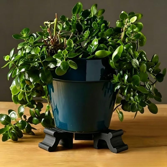 3D Printing Garden Pot Feet 3 Pcs Plant Pot Lifters 2.48 Inch Long 3.9 Inch Tall Handmade Flower Pot Risers Proof Supports for Outdoor Planters Black - color: Black