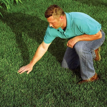 EZ-Straw Grass Seed Germination and Erosion Control Blanket - 4ft. x 50ft. (200 sq. ft.)