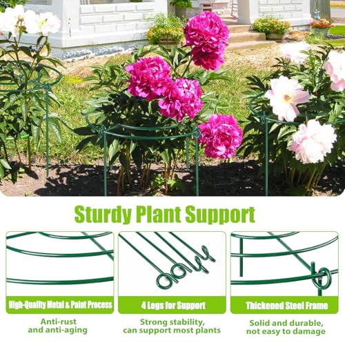 8 Pack Peony Cages and Supports, 11.5" Dx16 H Metal Plant Supports - size: 11.5" Wx16" H-8 Pack
