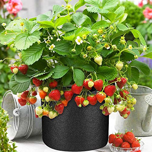 50 Pack 10 Gallon Grow Bags Bulk, Heavy Duty Thickened Fabric Pots Nonwoven Plant Bags with Handles, Breathable Plant Growing Containers Bags for Nursery Garden Fruit Vegetable Flower