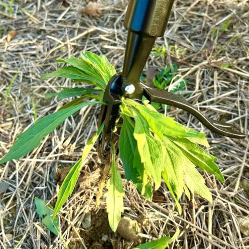 Stand on Weeding Tool, Long Handled Lawn Weeder