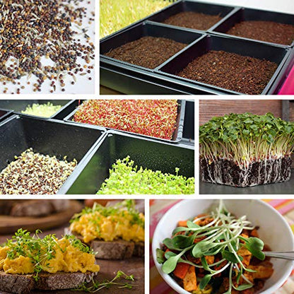 Handy Pantry 10-Pack 1020 Garden Growing Trays with Drain Holes - 10" x 20" - size: 10 Pack, style: With Drain Holes