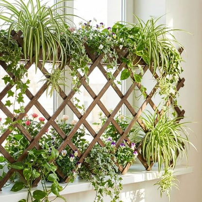 Expandable Garden Lattice, 38"x89" Wooden Trellis for Climbing Plants 2PCS - color: Brown-2PC, size: 38" x 89"
