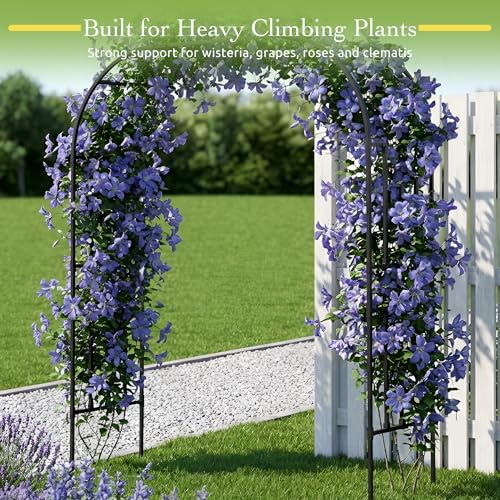 Square Tube Garden Arch Trellis for Climbing Plants 8.2ft Tall Metal Arbor - color: 59.1 inch Length - Black