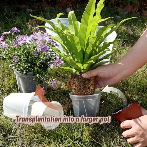 10.6" Clear Plant Nursery Pots with Drainage Plastic Orchid Pots 10 Pack - size: 10 inch