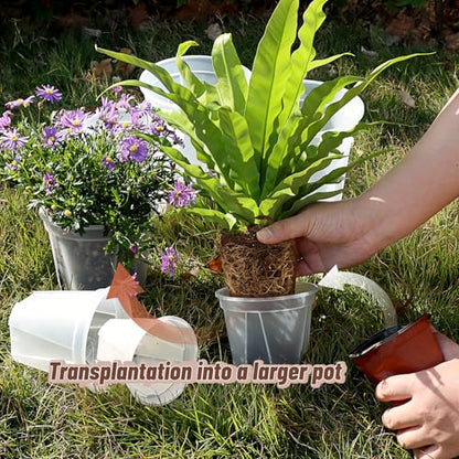 10.6" Clear Plant Nursery Pots with Drainage Plastic Orchid Pots 10 Pack - size: 10 inch