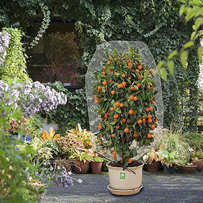 Alpurple 3 PCS Insect Bird Barrier Netting Mesh with Drawstring- 3.2 x 2.6 Feet Fruit Tree Net-Garden Netting Plant Cover for Protect Plant Fruits Flower from Insect Bird Eating - color: 3 Pcs, size: 2.62x3.28 ft
