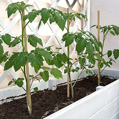 Plant Stakes,18IN Natural Garden Bamboo Sticks, 20Pcs Plant Support Stakes - size: 18 Inches, Pack of 20