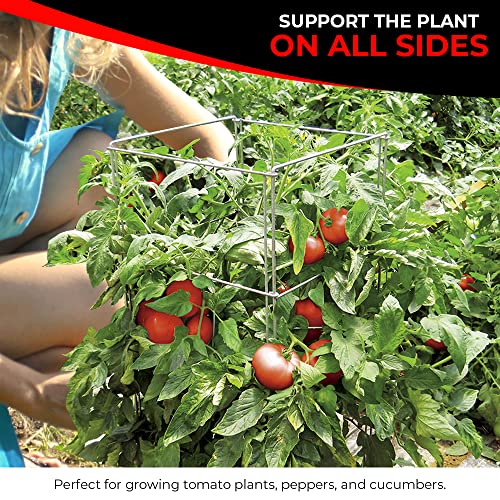 Cedar Ridge Square Foldable Tomato Cages - Made in USA Heavy Duty Plant Support for Vegetable Garden, Vegetables, and Flowers - Stakes and Trellis for Climbing Plants (13x56) 3-Pack - size: 13 x 56 inches