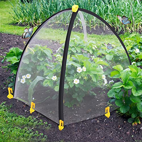 PURPLE STAR 1N 28 x28 x 33 Inch Insect Barrier Plant Tent Cover-Pest Guard Cover-Bird Barrier Netting Mesh with Stakes for Protect Plants Fruits Flower from Insect Bird Eating (1, M) - color: M