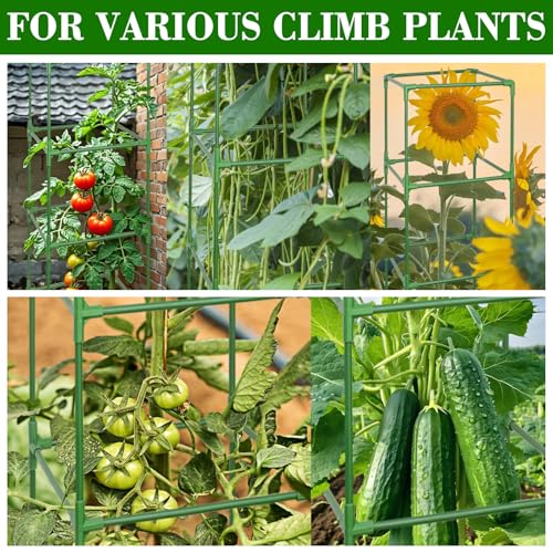ZeeDix 60 Inch Heavy Duty Tomato Cages for Garden with Clips 2 Pack - color: Green-2 Pack, size: 60-inch