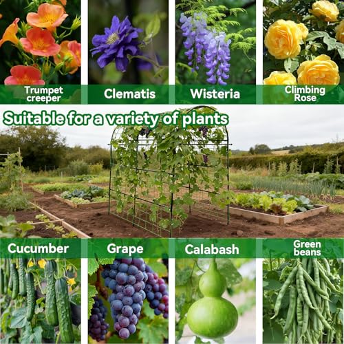 Garden Arch Trellis for Climbing Plants Outdoor - 83" H*71" W*43" L (Black) - color: black, size: 71"×44"×83"