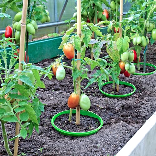 6 Pcs 10" Planting Grow Rings, Planting Rings for Vegetables Herbs Flowers - color: 10 Inch