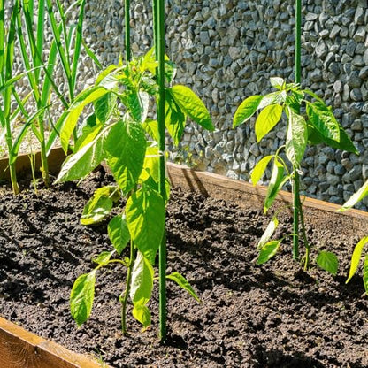 uxcell 12pcs Plant Support Stakes, 14inch Single Stem Stakes Garden Plant Cage Support Rings for Orchid Rose Tomato Peony Flowers - size: 14inch