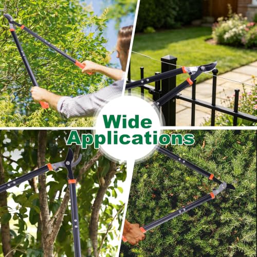 Bypass Loppers for Tree Trimming
