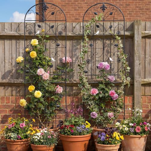 70.8" Metal Garden Trellis for Climbing Plants, 2 Pack Black - color: Black