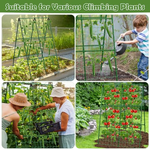 2 Packs Cucumber Trellis for Raised Beds, 31 X 47 Inch Adjustable Size A-Frame Garden Trellis for Climbing Plant Outdoors with Climbing Net and Plant Support Clip for Vegetable Grape Garden Supplies - size: 2pack 31 x 47 Inch