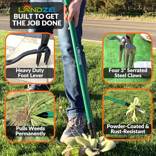 Landzie - Weed Puller Tool 55", Stand Up Weeder with Long Handle