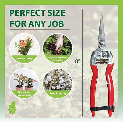Garden Guru Straight Stainless Steel Pruner Pruning Shears Clippers Snips – Sharp Bonsai Cutter Plant Trimming Scissors – Straight Blade Garden Scissors Tool – Great for Roses Flowers Herbs Fruits - size: 1 Pack, style: Snips