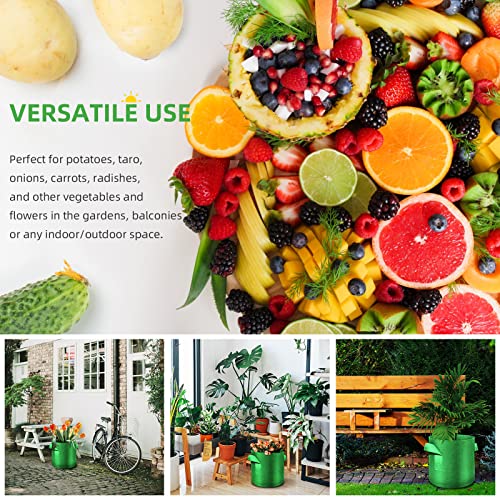 5-Pack 10 Gallon Grow Bags Heavy Duty Thickened Nonwoven Fabric Pots with Handles, Plant Grow Bags for Vegetables/Flower/Plant/Fruits, Green - color: Green, size: 10 Gallon
