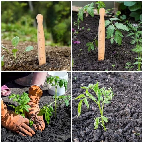 Wooden Seed Dibber with Measurement Handheld Save Time Ergonomic Round Handle Quick Efficient Seed Planter Tool Tapered Gauge - color: Style a