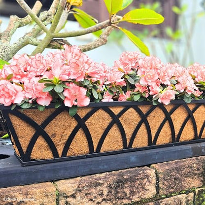 LaLaGreen 36" (2 Pack, Rectangular) Coco Liners for Window Box Planter–Extra Large Trough Coconut Coir Replacement for Hanging Basket, Flower Pot, Garden Outdoor Use–Multi Sizes Multiple Sizes&Shapes - size: 36'' x 2 pack
