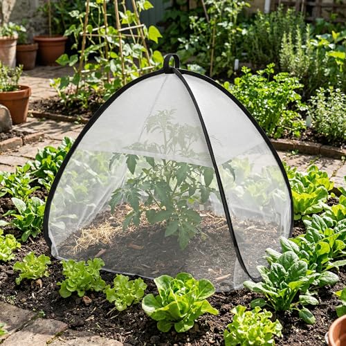 2Pcs Pop Up Garden Netting Bug and Shade Cover,Plant Sun Shade Netting Tent - color: White-22x22x22 Inch