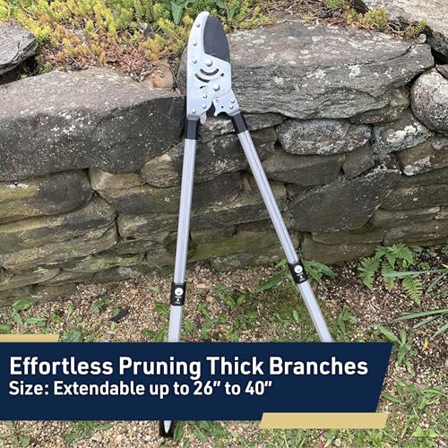 Kings County Tools Tree Trimmer Loppers with Extendable 26" - 40" Handles - style: 40" Extendable Anvil Lopper
