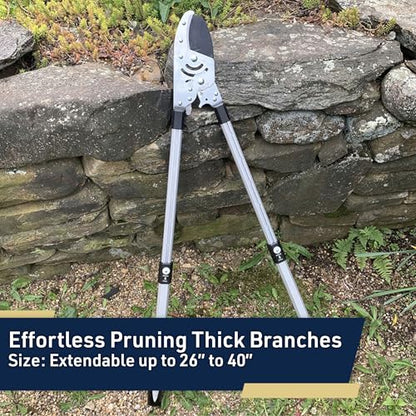 Kings County Tools Tree Trimmer Loppers with Extendable 26" - 40" Handles - style: 40" Extendable Anvil Lopper