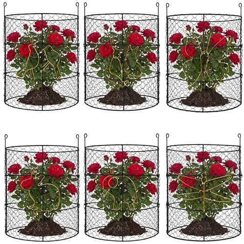 DHAMPOOH Garden Cloches for Plants, Outdoor Plant Protectors, 8 Pack - size: Pack of 8