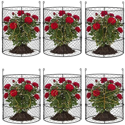 DHAMPOOH Garden Cloches for Plants, Outdoor Plant Protectors, 8 Pack - size: Pack of 8