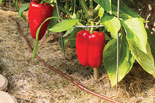 Rain Bird ET256-50S Drip Emitter Tubing, 1/4" - size: 50' Roll (Pack of 1), style: Emitter Tubing - 6" Spacing
