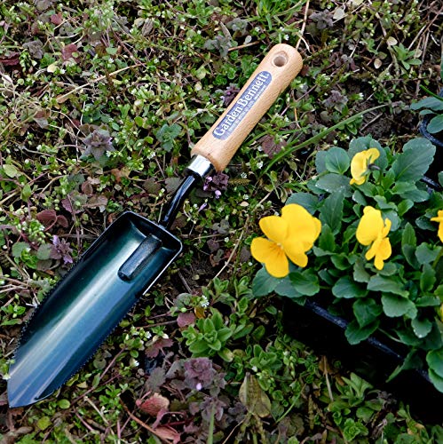 Garden Helper Narrow Garden Trowel Hand Tool, Garden Shovel Serrated Edge for Planting and Transplanting, Heavy Duty Japanese Steel Blade, Wood Handle, Made in Japan - style: Narrow Trowel