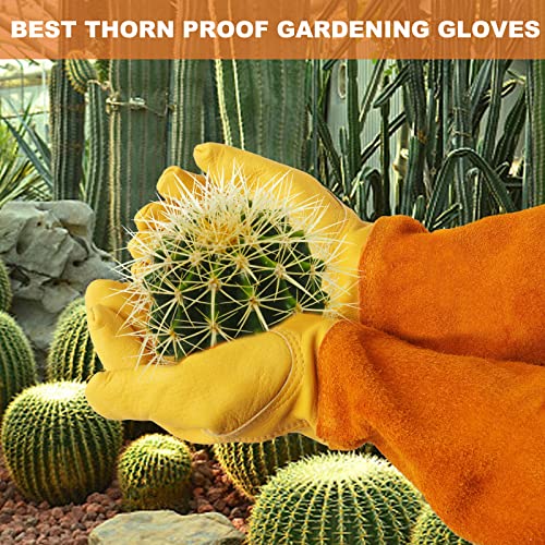 Long Gardening-Gloves Women/Men-Thorn proof Rose Pruning Heavy Duty Gauntlet-M - color: Yellow, size: Medium (Pack of 1)
