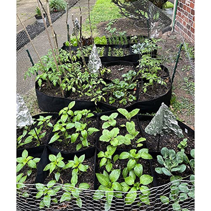 CJGQ 2 Pack Fabric Raised Garden Bed 6x3x1ft Garden Grow Bed Bags for Growing Herbs, Flowers and Vegetables 128 Gallon… - size: 6ft*3ft*1ft-2 Pack