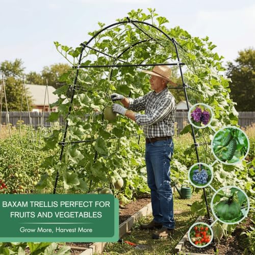7FT Tall Heavy-Duty Metal Garden Arch Trellis for Climbing Plants Outdoor - size: 71"L×70"W×82"H
