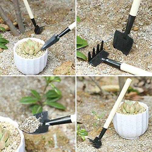 SONGZIMING 15 Pcs Succulent Plant Tools Set