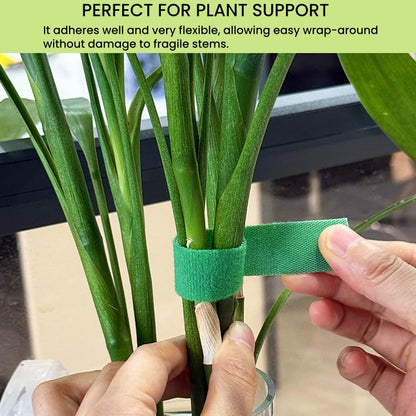 Reusable Plant Ties for Climbing Plants Hook and Loop Green Nylon Plant Straps Tape Double Sided Garden Tie Strap Reusable Adjustable Gentle Support for Vines, Trellis, Tomato (1/2 Inch x 16.4 ft) - size: 1/2 Inch x 16 Feet