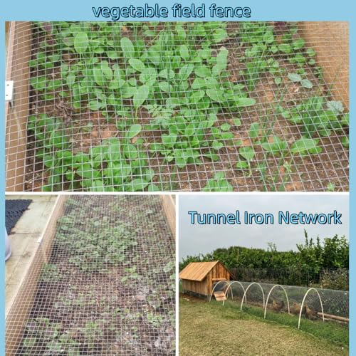19 Gauge Galvanized Hardware Cloth, Welded Wire Metal Roll Chicken Fence Wire Mesh Screen Roll, Garden Rabbit Fencing, Snake Fence, Chicken Gopher Racoons (1/2 Inch-16Inch x 20Ft) - size: 1/2 Inch-16Inch x 20Ft