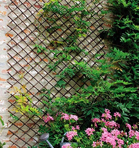 Nature Willow Trellis Expandable Plant Support Plant Climbing Lattices Trellis Willow Expandable Trellis Fence for Climbing Plants Support 36x92 Inch,Double Panel (1)