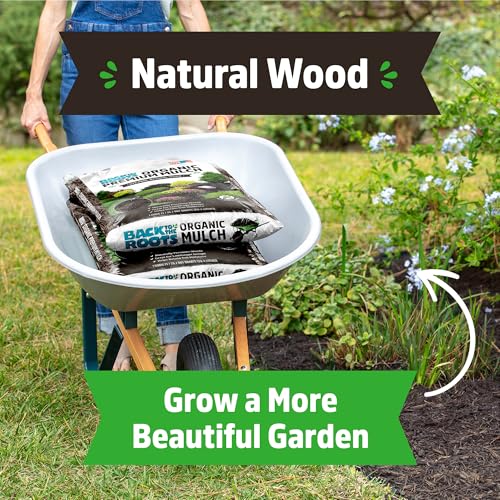Back to the Roots 25.7qt (1 Cubic ft) Organic Premium Mulch - size: 25.7 quart, style: Mulch
