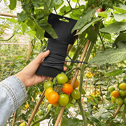 Tenn Well 2Pk 66ft 2.8mm Garden Wire Bendable Black for Climbing Plants - color: Black, size: 2.8mm
